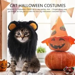 ITESSY Chat Halloween Costumes-Noir Lion Mane Perruque Pet Costumes Chapeau Pour Halloween Noël Habillage Accessoires Décoration Pour Chats Chaton, Taille S -Oui || N/A || pearhead 71Fs0wpy7vL. AC SL1500