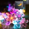 Lumières à Cordes Solaires Fleur Jardin Lumières Extérieur Imperméable Fée Lumières Solaire Powered Décoratif Cerisier Fleuri Pour Camping Extérieur Balcon Courge Porche Patio Arbre De Noël 33ft 50 Led Pack 2
