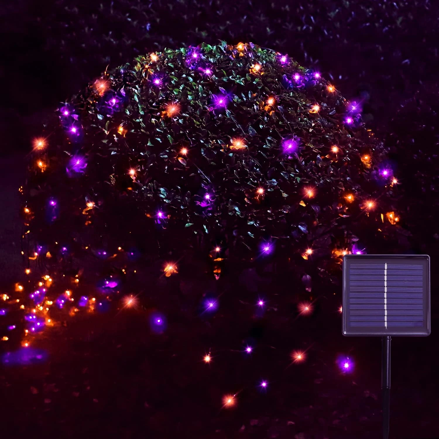 Solar Net Halloween Lights Violet & Orange, 204 LED Net Lights Outdoor Mesh Lights, Étanche 8 Modes Solar Powered String Lights Pour Jardin, Cour, Buissons, Tronc, Arbre De Noël Decor-9.8ft X 6.6ft 3 Solar Net Halloween Lights Violet & Orange, 204 LED Net Lights Outdoor Mesh Lights, Étanche 8 Modes Solar Powered String Lights Pour Jardin, Cour, Buissons, Tronc, Arbre De Noël Decor-9.8ft X 6.6ft