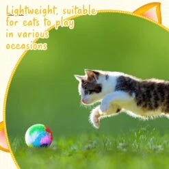 20 Pcs Noël Chat Balle Jouet Kitty Fils Puffs Assortiment Couleur Petit Chat Jouet Peluche Kitty Boules Douces Chat Pom Pom Boules Fuzzy Kitty Boules Pour Pet Chat Chaton Kitty 1.6 Pouce En Diamètre -Oui || N/A || pearhead 71NlXZE2QtL. AC SL1500