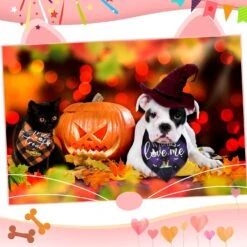 6 Pcs Automne Chien Bandana Halloween Thanksgiving Vacances Plaid Noël Chiot Bandana Triangle Animaux Bavoirs Écharpe Foulard Cadeau Accessoires De Fête Pour Petit Moyen Grand Chien Chiot Chat Costume -Oui || N/A || pearhead 71RxVj6mBAL. AC SL1500