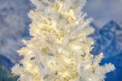 Lumières De Nouveauté 50 Lumières De Noël LED Commerciales ( Blanc Chaud ), 25 Pieds Avec Un Espacement Des Ampoules De 6 Pouces, Ampoules De 5 Mm, Listées UL, Lumières De Cordes De Fil Blanc -Oui || N/A || pearhead 71RxW2ObNIL. AC SL1500