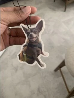 Voiture Photo Personnalisée Freshener Aérien Votre Photo Parfumée Personnalisée Et Personnalisée Freshner Anniversary Birthday Mères Pères Valentines Jour Noël Cadeau Personnalisé Pour Lui -Oui || N/A || pearhead 71TC8ULPqL. AC SL1500