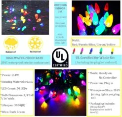 Lumières De Noël D'extérieur Colorées Led Holiday String Lights Indoor C3 Strawberry Mini Bulbs Mood Lighting Multicolore, 18Ft 50LED Party Stranger Things Decorative Lights -Oui || N/A || pearhead 71Tcg1UG7L. AC SL1000