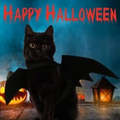 Halloween Pet Bat Wings Chat Chien Bat Costume, Chat Bat Wings Halloween Costume Pour Chats Petits Chiens, Chiot Cosplay Bat Costume Chat Ailes Pour Halloween Noël Fête D'anniversaire -Oui || N/A || pearhead 71Uray5pIDL. AC SL1500