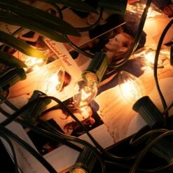 C9 Lumières Claires Pour Les Cordes De Noël, Cordes Pour Lumières De Noël En Plein Air, Lumières Suspendues Pour Les Toits De Noël, Lumières Pour Terrasse En Plein Air, Fil Vert, 25 Pieds -Oui || N/A || pearhead 71Z9Psxr89S. AC SL1500