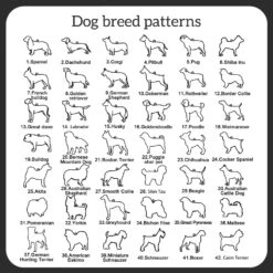 Personnalisé Chien Chat Pet Collier Pour Femmes, Personnalisé Chien Cadeaux, Personnalisé Pet Mémorial Cadeaux, Personnalisé Chat Mémorial Cadeaux, Cadeau D'anniversaire Cadeau De Noël Pour Les Femmes 12 Personnalisé Chien Chat Pet Collier Pour Femmes, Personnalisé Chien Cadeaux, Personnalisé Pet Mémorial Cadeaux, Personnalisé Chat Mémorial Cadeaux, Cadeau D'anniversaire Cadeau De Noël Pour Les Femmes -Oui || N/A || pearhead 71bWk1gZCPL. AC UL1500