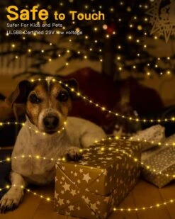 Lumières De Noël Ollny Outdoor, 400LED 130ft Christmas Tree Lights, String Lights IP67 Waterproof 8 Modes Fairy Lights Plug In For Home Party Yard Indoor Decorations ( Warm White ) 15 Lumières De Noël Ollny Outdoor, 400LED 130ft Christmas Tree Lights, String Lights IP67 Waterproof 8 Modes Fairy Lights Plug In For Home Party Yard Indoor Decorations ( Warm White ) -Oui || N/A || pearhead 71cGwvyVYhL. AC SL1500