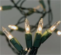 Ensemble De Lumière De Noël Transparent à 35 Points -Oui || N/A || pearhead 71enNCO1u3L. AC SL1500