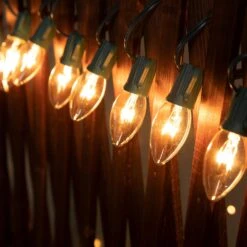 C9 Lumières Claires Pour Les Cordes De Noël, Cordes Pour Lumières De Noël En Plein Air, Lumières Suspendues Pour Les Toits De Noël, Lumières Pour Terrasse En Plein Air, Fil Vert, 25 Pieds -Oui || N/A || pearhead 71fRs7C9v1L. AC SL1500