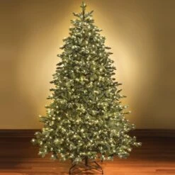Câble Vert Transparent Pour Lumières De Noël, 100 Mini-cordes Incandescentes Pour La Décoration Intérieure De L'éclairage Extérieur Des Fêtes, Les Lumières De L'arbre De Noël, Les Clignotants Statiques Certifiés UL -Oui || N/A || pearhead 71fYXj06IVL. AC SL1000