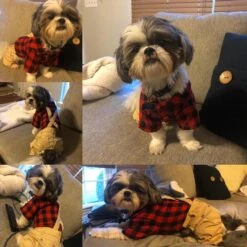 Petit Chien Vêtements Rouge Plaid Chemise Khaki Overalls Pantalon Combinaison Tenues Cool Pet Vêtements Pour Petits Chiens Chats Garçon Fille, Jeans Onesies Pjs Vêtements Halloween De Noël Costume Fête D'anniversaire Robe -Oui || N/A || pearhead 71j5tXnND6L. AC SL1010