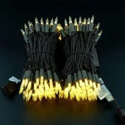 Lumières De Noël LED Blanches Chaudes YULETIME Avec Fil Brun, 66 Pieds 200 Unités De Lumière De Chaîne De Vacances LED Certifiée UL ( Blanc Chaud - Fil Brun ) 19 Lumières De Noël LED Blanches Chaudes YULETIME Avec Fil Brun, 66 Pieds 200 Unités De Lumière De Chaîne De Vacances LED Certifiée UL ( Blanc Chaud - Fil Brun ) -Oui || N/A || pearhead 71jjS51nQJS. AC SL1500