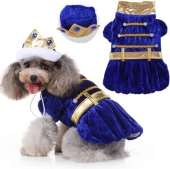 Costume De Chien Prince Costume D'Halloween Pour Petits Chiens Moyens Costume D'animal Avec Couronne En Saphir Pour Halloween Noël Fête D'anniversaire