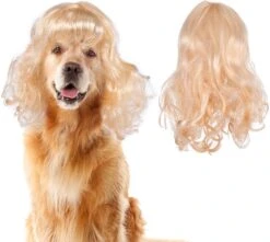 Miayon Chien Chat Cosplay Perruque Longue Blonde Cheveux Bouclés Avec Réglable Élastique Bandes Animaux Perruques Pour Halloween, Noël, Festivals, Pet Cosplay Costumes Accessoires Pour Chien Chat (Blond)