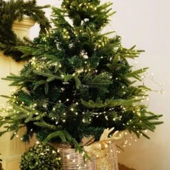 ZELUXDOT Plug In Firecracker Lights 20FT 200 LED Fil Vert Cuivre Cordes Lumières Fées Intérieures Avec Télécommande Pour Chambre à Coucher,Mariage,Anniversaire, Fête, Arbre De Noël,Jardin,Patio -Oui || N/A || pearhead 71ri2cfOML. AC SL1001