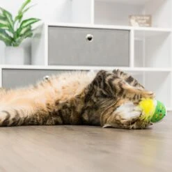 Huxley & Kent Chat Jouet | Meh Noël Kitty | Vacances De Noël Forte Chatte Jouet De Chat Rempli | Doux Peluche Kitty Jouet Avec Cataire Et Étinceler | Kittybelles -Oui || N/A || pearhead 71uRK1fk6yL. AC SL1500