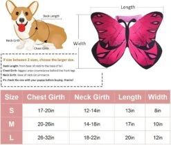 Oeuvres Papillon Pour Chiens Costumes D'Halloween Pour Chiens, Chien Chat Butterfly Wings Costume De Chien Papillon Pour Halloween Noël, Ailes Papillon Pour Chiens De Chat Pour Petits Grands Chiens Moyens -Oui || N/A || pearhead 71uSZgS3BQL. AC SL1500