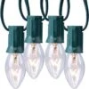 C9 Lumières Claires Pour Les Cordes De Noël, Cordes Pour Lumières De Noël En Plein Air, Lumières Suspendues Pour Les Toits De Noël, Lumières Pour Terrasse En Plein Air, Fil Vert, 25 Pieds -Oui || N/A || pearhead 71wUohyG30S. AC SL1500