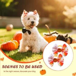 Yerliker 60 Pcs Halloween Thanksgiving Chien Cheveux Arcs Avec Solides Bandes En Caoutchouc, De Noël Chien Arcs Avec Strass Perles, PET Main Cheveux Bowknot Chien Soins Accessoires Pour Chiens Chats, 30 Paires 11 Yerliker 60 Pcs Halloween Thanksgiving Chien Cheveux Arcs Avec Solides Bandes En Caoutchouc, De Noël Chien Arcs Avec Strass Perles, PET Main Cheveux Bowknot Chien Soins Accessoires Pour Chiens Chats, 30 Paires -Oui || N/A || pearhead 71wm0Fe7VSL. AC SL1500