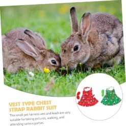 POPETPOP Bunny Leash 2 Set Animaux De Noël Vêtements Bunny Harnais Lapin Laisse Coq Costume Lapin Harnais Laisse Petit Pet Chest Harnais Petit Animal Harnais Laisse Lapin Traction Corde Bunny Fournitures -Oui || N/A || pearhead 81 5wXYMdnL. AC SL1500