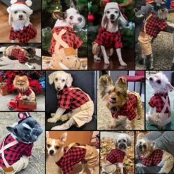 Petit Chien Vêtements Rouge Plaid Chemise Khaki Overalls Pantalon Combinaison Tenues Cool Pet Vêtements Pour Petits Chiens Chats Garçon Fille, Jeans Onesies Pjs Vêtements Halloween De Noël Costume Fête D'anniversaire Robe -Oui || N/A || pearhead 81 Ox3hF6L. AC SL1500