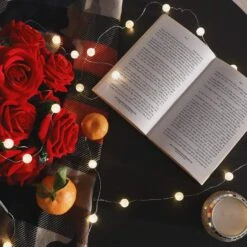 Lumières De Cordes HuTools Globe Pour Chambre à Coucher, Lumières De Noël Décoratives, Lumières De Boules De Crackle En Cristal 10Ft 30 LED Luminaires De Fées Fonctionnant à La Batterie Blanche Douce Parfait Pour La Décoration De La Saint-Valentin -Oui || N/A || pearhead 81 g4MYeUVL. AC SL1500