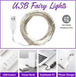 EvaStary 33 Ft 100 LED Fées Lumières, USB Alimenté Violet Fée Chaîne Lumières, Décoratif Fil D'argent Firefly Lumières Pour Chambre Intérieur Décor De Noël En Plein Air -Oui || N/A || pearhead 810H6vtSCtL. AC SL1500