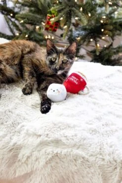 Pearhead Holiday Hot Cocoa Cat Toy Set, Cadeau Propriétaire D'animal De Compagnie De Noël, Accessoires Holiday Must Have, Jouet De Chat En Peluche, Set De 2 -Oui || N/A || pearhead 812pPi5peFL. AC SL1500