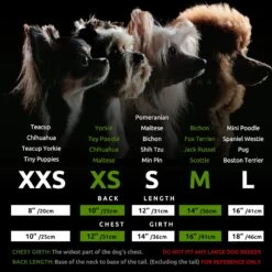 Fitwarm Chien Tenue De Noël, Hiver Chien Robe, Chien Vêtements Pour Petits Chiens Fille, Col Roulé Plaid Animal Costume, Chat Vêtements, Rouge, Grand -Oui || N/A || pearhead 814isFwpU0L. AC SL1500