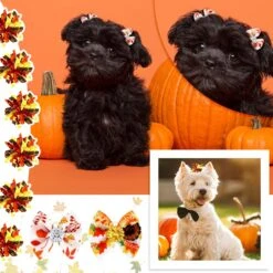 Weewooday 70 Pièces Chiens Cheveux Chien Arcs Avec Bande En Caoutchouc Chien Bowtie Pet Accessoires De Cheveux Chiot Bowknot Topknot Pet Toilettage Arcs Pour Jour De L'Indépendance Noël Petit Chiot Decor(Elegant Style) -Oui || N/A || pearhead 817IBKsovgL. AC SL1500
