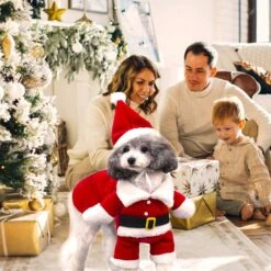 QETRABONE Santa Small Dog Costume Noël Pet Outfits Red Christmas Santa Claus Hat Scarf Cosplay Dressing Up Xmas Party Fashion New Year Vêtements Accessoires Pour Small Pet Cat Dog (Small, Santa) -Oui || N/A || pearhead 81Bh T1upKL. AC SL1500