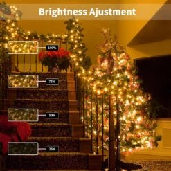 Feux De Chaîne Actionnés Par Batterie ZAIYW 4 Pack, 16,5 Ft Feux De Chaîne Vert Foncé 50 LED Avec Minuterie à Distance 8 Modes Faible Pour Chambre à Coucher Patio Yard Garden Décor D'arbre De Noël ( Blanc Chaud ) -Oui || N/A || pearhead 81BrOGD7xwL. AC SL1500