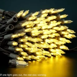 Lumières De Noël LED Blanches Chaudes YULETIME Avec Fil Brun, 66 Pieds 200 Unités De Lumière De Chaîne De Vacances LED Certifiée UL ( Blanc Chaud - Fil Brun ) 14 Lumières De Noël LED Blanches Chaudes YULETIME Avec Fil Brun, 66 Pieds 200 Unités De Lumière De Chaîne De Vacances LED Certifiée UL ( Blanc Chaud - Fil Brun ) -Oui || N/A || pearhead 81Hk4MuFcRL. AC SL1500