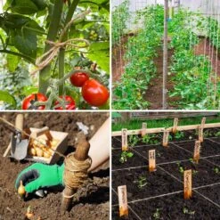 Ficelle De Jute Tenn Well, 300 Pieds 2,32 Mm Ficelle De Jardin Naturel 6 Plis, Ficelle De Ficelle Robuste Pour Le Jardinage, Emballage De Cadeaux, Artisanat, Emballage, Décoration De Noël -Oui || N/A || pearhead 81JTaABsT4L. AC SL1001