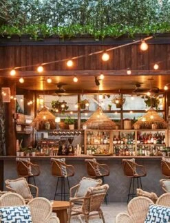 Feux De Chaîne D'extérieur 25 Pieds G40 Feux De Patio LED Avec 13 Ampoules En Plastique Edison ( 1 Pièce De Rechange ), Lumières De Noël Suspendues Connectables étanches Pour La Décoration De Noël De La Fête Du Balcon Du Porche Arrière-cour, Noir -Oui || N/A || pearhead 81Jm9e SVVL. AC SL1500