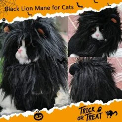 ITESSY Chat Halloween Costumes-Noir Lion Mane Perruque Pet Costumes Chapeau Pour Halloween Noël Habillage Accessoires Décoration Pour Chats Chaton, Taille S -Oui || N/A || pearhead 81JttEQLj1L. AC SL1500