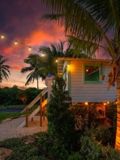 Addlon 96 FT (2x48FT) Extérieure Chaîne Lumières Commercial Grade Strand 36 Edison Vintage Ampoules 30 Suspensions, ETL Classé Décoratif Lumières De Noël Pour Patio Jardin -Oui || N/A || pearhead 81LaDsb9o8L. AC SL1500