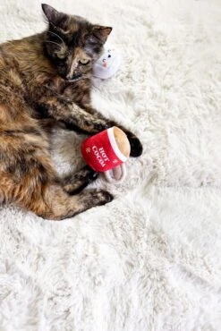 Pearhead Holiday Hot Cocoa Cat Toy Set, Cadeau Propriétaire D'animal De Compagnie De Noël, Accessoires Holiday Must Have, Jouet De Chat En Peluche, Set De 2 -Oui || N/A || pearhead 81PHQcMacyL. AC SL1500
