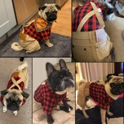Petit Chien Vêtements Rouge Plaid Chemise Khaki Overalls Pantalon Combinaison Tenues Cool Pet Vêtements Pour Petits Chiens Chats Garçon Fille, Jeans Onesies Pjs Vêtements Halloween De Noël Costume Fête D'anniversaire Robe -Oui || N/A || pearhead 81QPHiIkeSL. AC SL1500