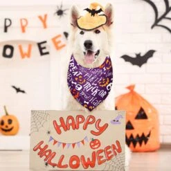 9 Pièces Chien De Vacances Bandanas Halloween Chien Bandanas Thanksgiving Chien De Noël Mouchoir Réglable Grand Foulard Écharpe Pour Chien Lavable Pour L'approvisionnement En Costumes De Chien ( Motif Frais ) -Oui || N/A || pearhead 81RHkdA52sL. AC SL1500
