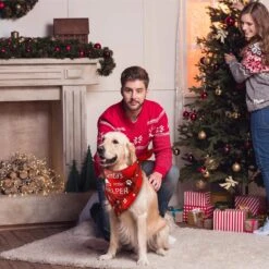 9 Pièces Chien De Vacances Bandanas Halloween Chien Bandanas Thanksgiving Chien De Noël Mouchoir Réglable Grand Foulard Écharpe Pour Chien Lavable Pour L'approvisionnement En Costumes De Chien ( Motif Frais ) -Oui || N/A || pearhead 81SNm9VQ5QL. AC SL1500