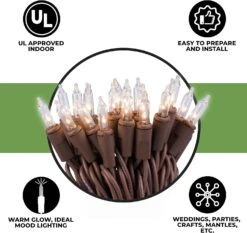 612 Vermont 35 Clear Mini Noël String Lights Sur Cordon En Fil Brun, UL Approuvé Pour L'usage Intérieur Seulement, 9 Pieds De Longueur éclairée, 10 Pieds De Longueur Totale -Oui || N/A || pearhead 81SPZDGPzdL. AC SL1500 1