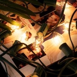 Lumières De Noël Vintage, 50 Pieds C9 Lampes à Cordes Pour La Période Des Fêtes De Noël Stranger Things Party Garage Extérieur Intérieur Jardin Patio Arrière-cour Décoration Café, Fil Vert -Oui || N/A || pearhead 81UWQCV6yYL. AC SL1500