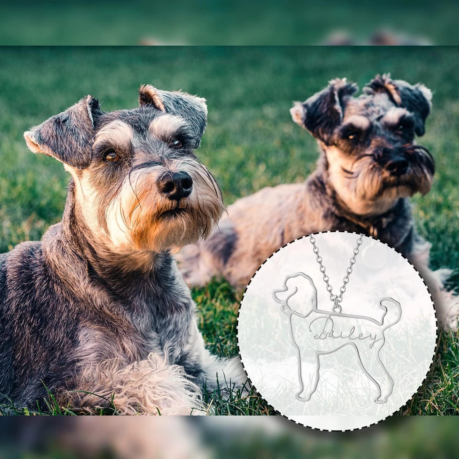 Personnalisé Chien Chat Pet Collier Pour Femmes, Personnalisé Chien Cadeaux, Personnalisé Pet Mémorial Cadeaux, Personnalisé Chat Mémorial Cadeaux, Cadeau D'anniversaire Cadeau De Noël Pour Les Femmes 7 Personnalisé Chien Chat Pet Collier Pour Femmes, Personnalisé Chien Cadeaux, Personnalisé Pet Mémorial Cadeaux, Personnalisé Chat Mémorial Cadeaux, Cadeau D'anniversaire Cadeau De Noël Pour Les Femmes - Image 5