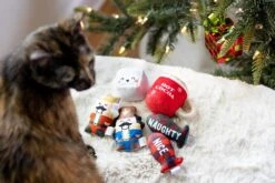 Pearhead Holiday Hot Cocoa Cat Toy Set, Cadeau Propriétaire D'animal De Compagnie De Noël, Accessoires Holiday Must Have, Jouet De Chat En Peluche, Set De 2 -Oui || N/A || pearhead 81Wv320RZhL. AC SL1500