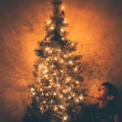 Feux De Chaîne De Noël LED C9, Feux De Chaîne De Fraise Imperméables à 100 LED, Forme De Lumières De Fil Vert Extensible Enfichable Pour Extérieur Extérieur Décoration De Fête De Mariage En Patio, Blanc Chaud -Oui || N/A || pearhead 81YyYrt9uuL. AC SL1500