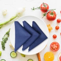Bleu Marine Ensemble De 12 Serviettes De Coton 18x18 Pouce Lavable Tous Les Jours Utilisation Avec Mitered Corners 100% Pur Naturel Coton Tissu Serviette Pour Dîner Mariages Parties Noël Restaurants Hôtels Utilisation -Oui || N/A || pearhead 81ZLrHxHHjL. AC SL1500