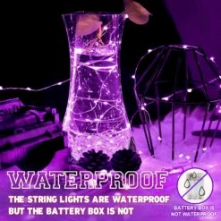 EvaStary 33 Ft 100 LED Fées Lumières, USB Alimenté Violet Fée Chaîne Lumières, Décoratif Fil D'argent Firefly Lumières Pour Chambre Intérieur Décor De Noël En Plein Air -Oui || N/A || pearhead 81b5o0rULRL. AC SL1500