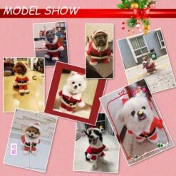 QETRABONE Santa Small Dog Costume Noël Pet Outfits Red Christmas Santa Claus Hat Scarf Cosplay Dressing Up Xmas Party Fashion New Year Vêtements Accessoires Pour Small Pet Cat Dog (Small, Santa) -Oui || N/A || pearhead 81bk7kmBiCL. AC SL1500
